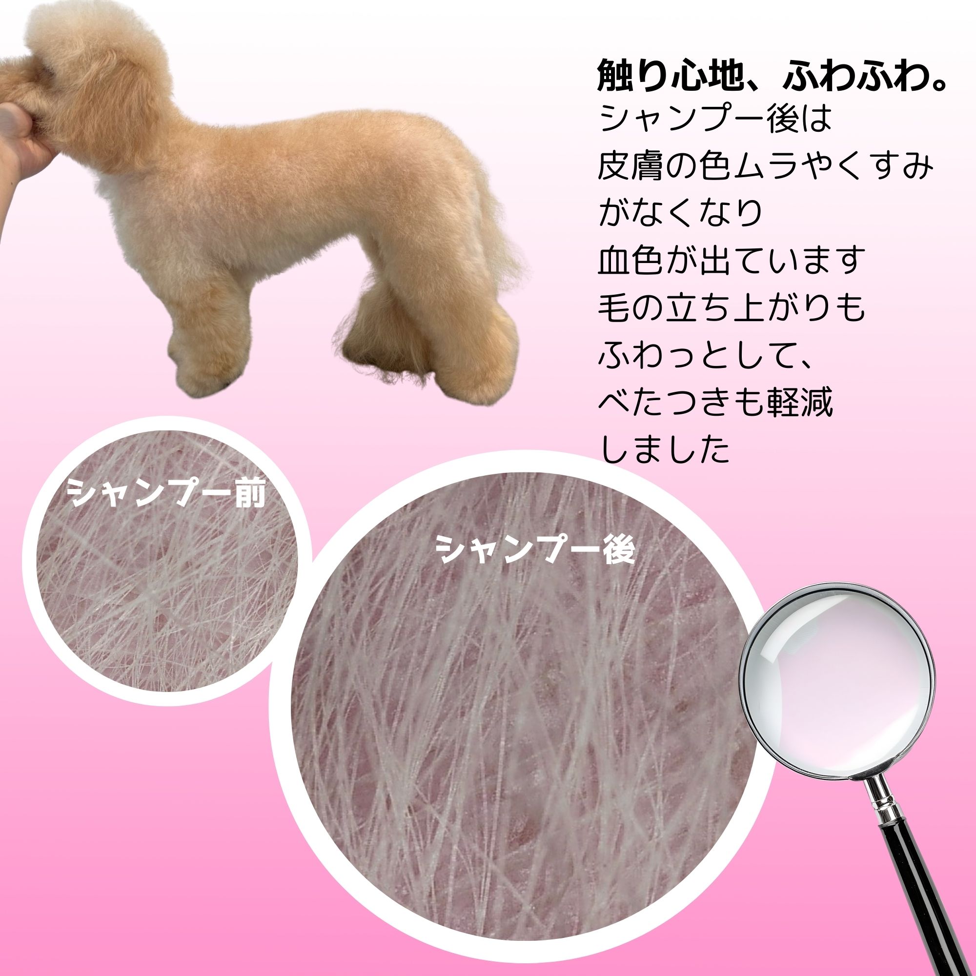 シャンプー前後の毛の比較