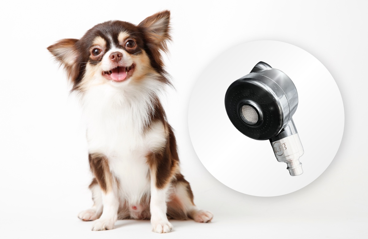 PET LUXE ペット用ナノバブルシャワー キービジュアル